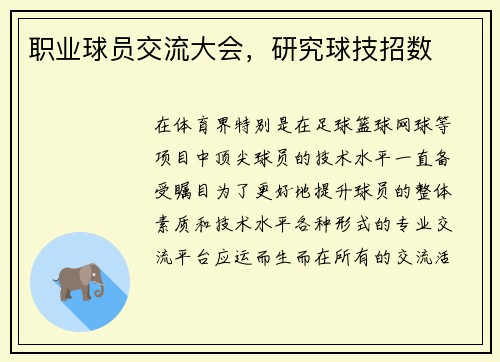 职业球员交流大会，研究球技招数