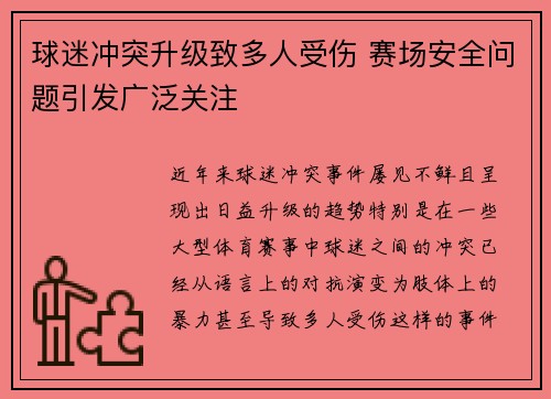 球迷冲突升级致多人受伤 赛场安全问题引发广泛关注